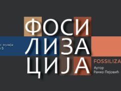 Fossilization