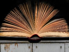 Book fair in Belgrade