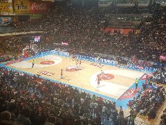 Aleksandar Nikolic Hall - Pionir